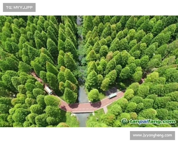 西宁赛事碳排放报告发布助力推动绿色赛事认证迈向新篇章